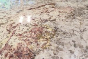 Main Gallery Image 42 | Countertop Gallery
